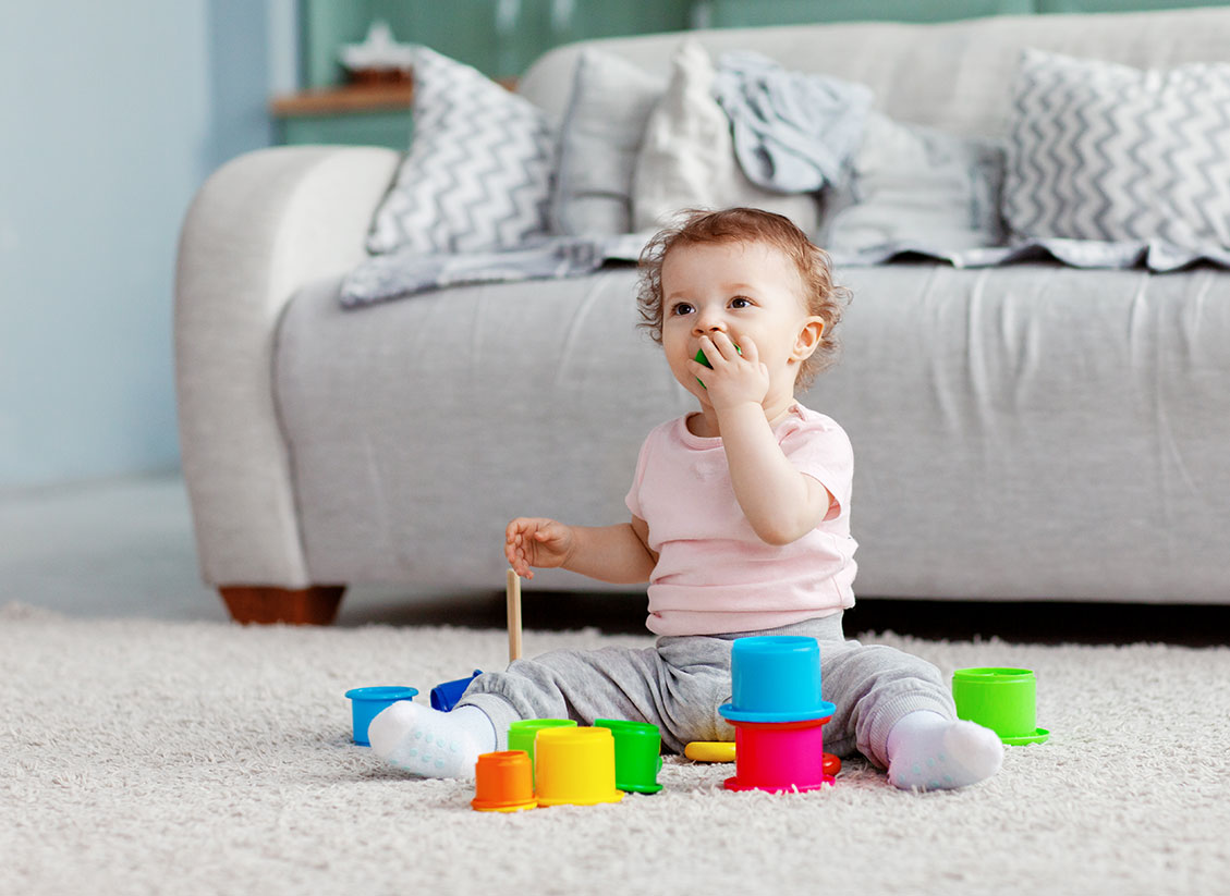 Professional Carpet, Upholstery and Tile & Grout Cleaning in Raleigh North Carolina