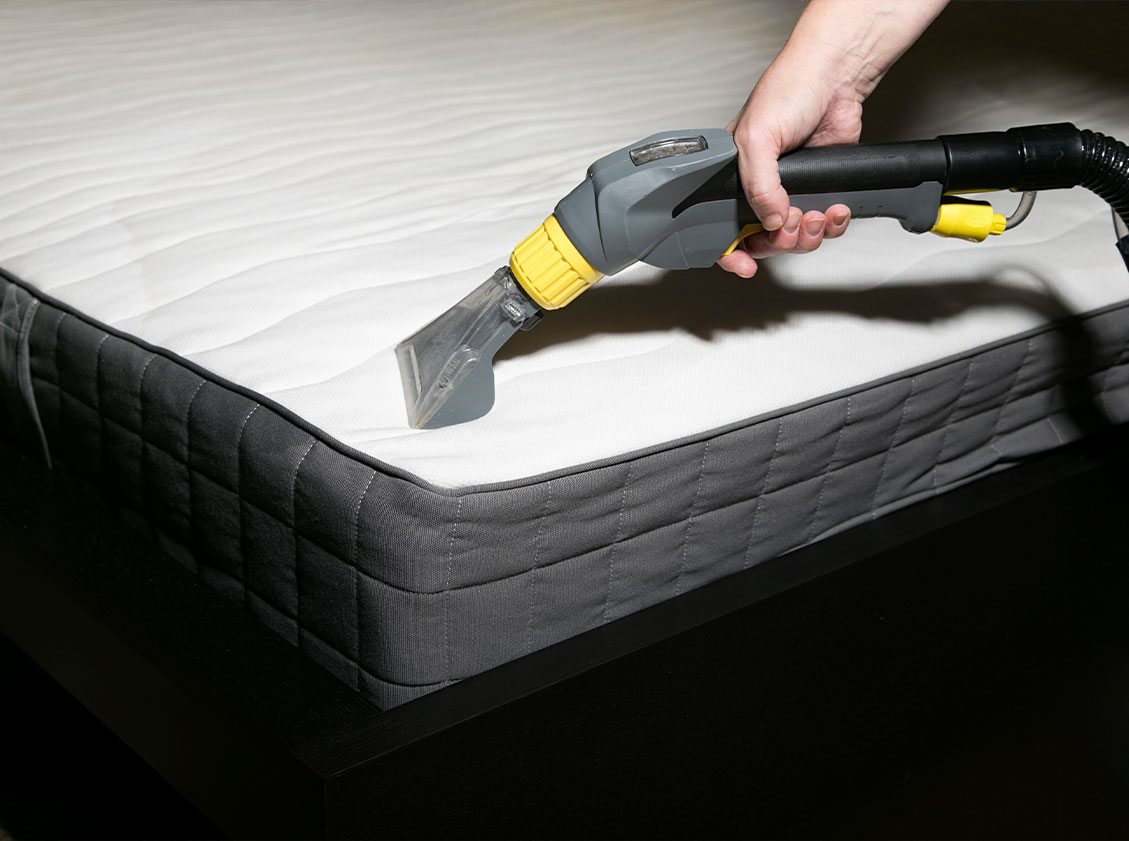 Professional Carpet, Hard Wood Floor, Upholstery and Tile & Grout Cleaning in Raleigh North Carolina