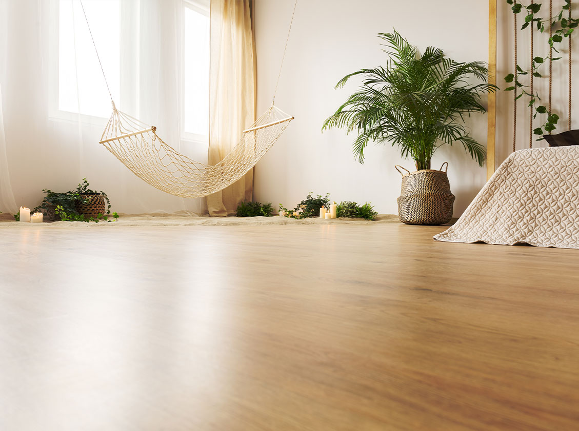 Professional Carpet, Upholstery and Tile & Grout Cleaning in Raleigh North Carolina