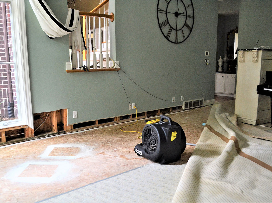 Professional Carpet, Hard Wood Floor, Upholstery and Tile & Grout Cleaning in Raleigh North Carolina