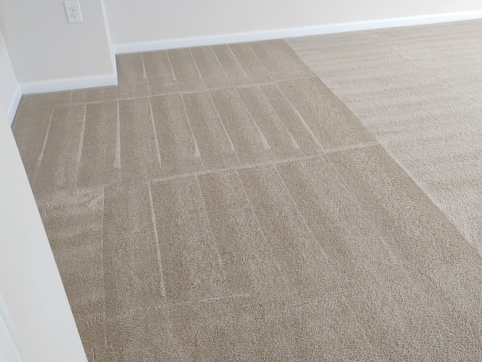 Professional carpet cleaning, hardwood floor cleaning, upholstery cleaning, and tile and grout cleaning in Raleigh North Carolina
