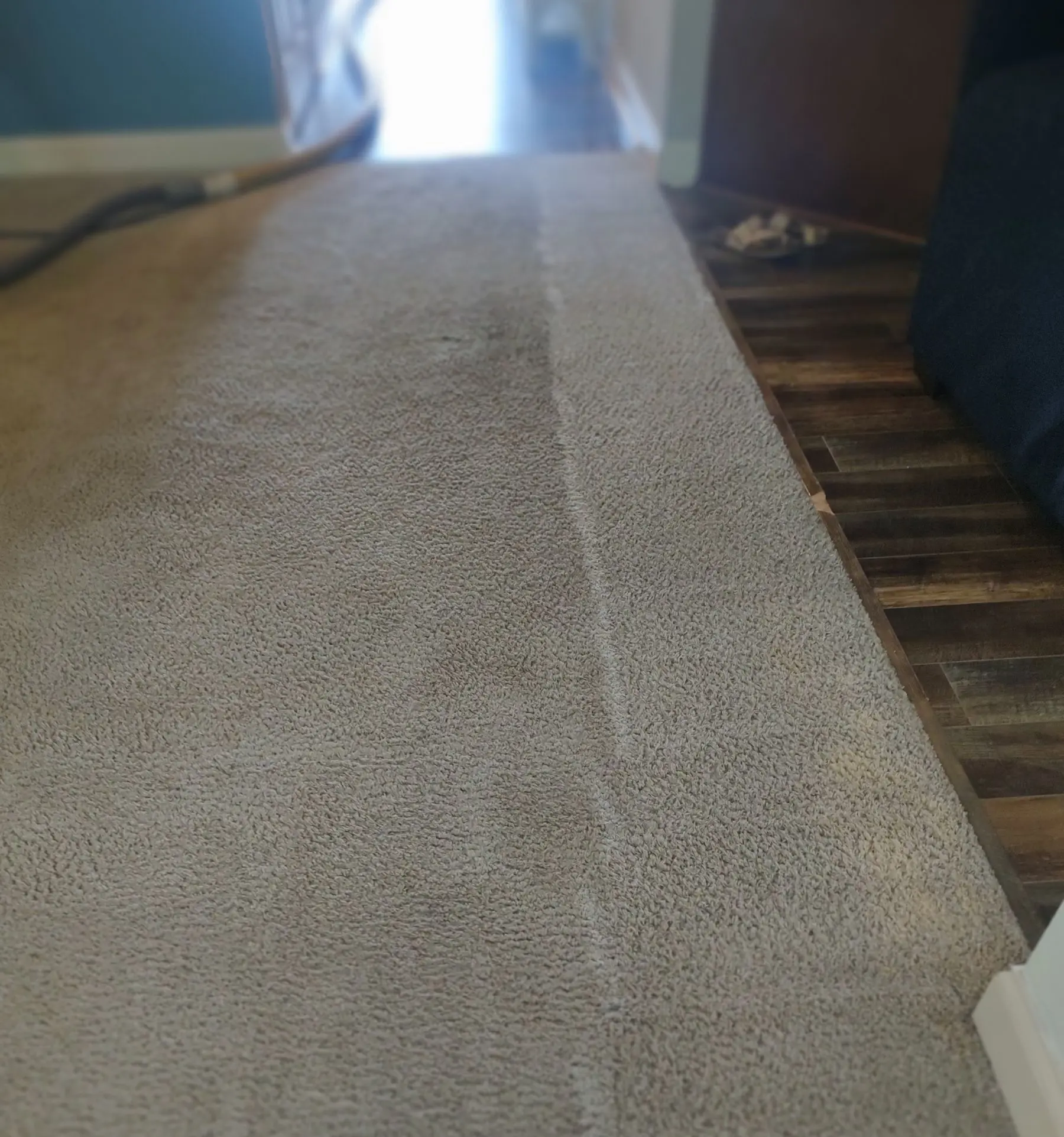 Professional water and flood damage restoration services in Raleigh North Carolina